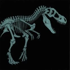 John Williams Jurassic Park Original Motion Picture Soundtrack (20th Anniversary – Version B)