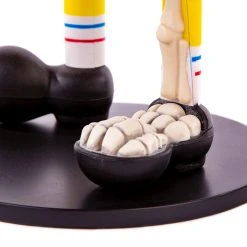 Jason Freeny Spongebob Squarepants Dissected Vinyl Figure Toys 27 Jason Freeny Spongebob Squarepants Dissected Vinyl Figure Toys