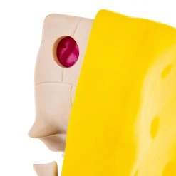 Jason Freeny Spongebob Squarepants Dissected Vinyl Figure Toys 30 Jason Freeny Spongebob Squarepants Dissected Vinyl Figure Toys