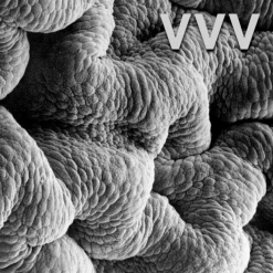 Holodeck Records Shadow World By VVV