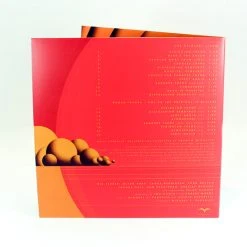 Franco Micalizzi The Visitor Original Motion Picture Soundtrack 2XLP