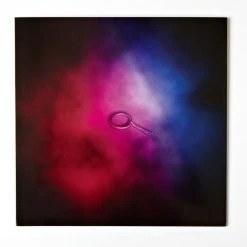 Steve Moore The Guest – Original Motion Picture Soundtrack LP